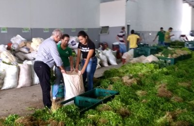 Arapiraca: prefeito Rogério Téofilo acompanha entrega de 25 toneladas de alimentos do PAA