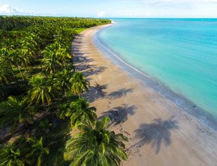 Hibiscus Beach Club