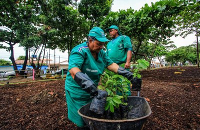 Mês da Mulher terá doação de mudas e educação ambiental