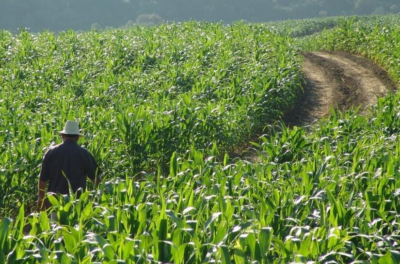 Garantia-Safra: agricultores familiares receberão o recurso a partir de abril