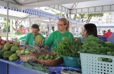 TJAL promove mais uma Feira Agroecológica na próxima quarta-feira (24)