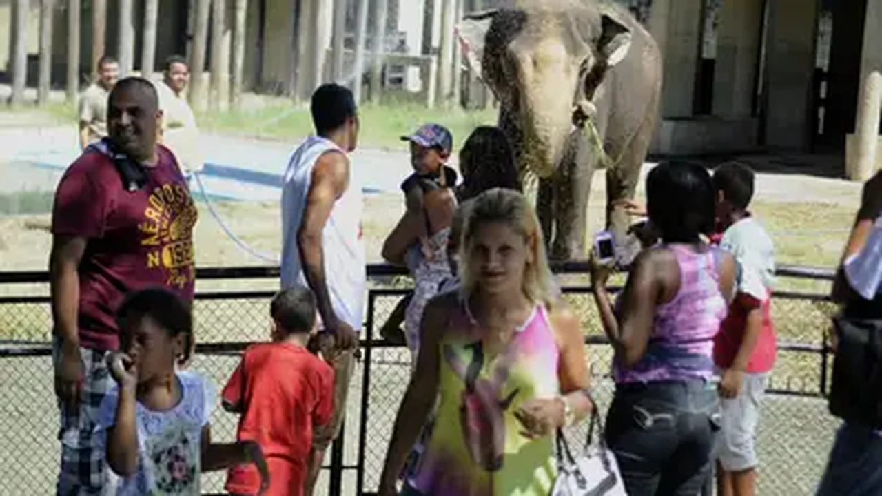 Crianças podem conhecer de perto a rotina de um zoológico