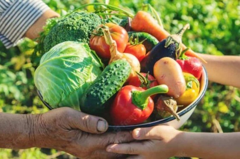 MPAL reforça importância de adesão de municípios ao Sistema Nacional de Segurança Alimentar e Nutricional