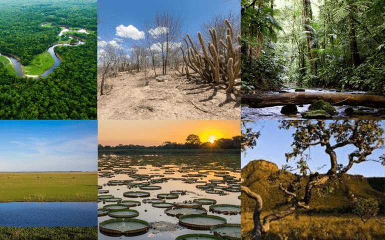 Proteção aos biomas nacionais, incentivo à reciclagem e à economia verde marcam as ações do meio ambiente nos últimos quatro anos