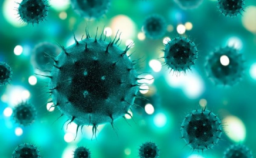Brasil registra 223.638 pessoas curadas do coronavírus
