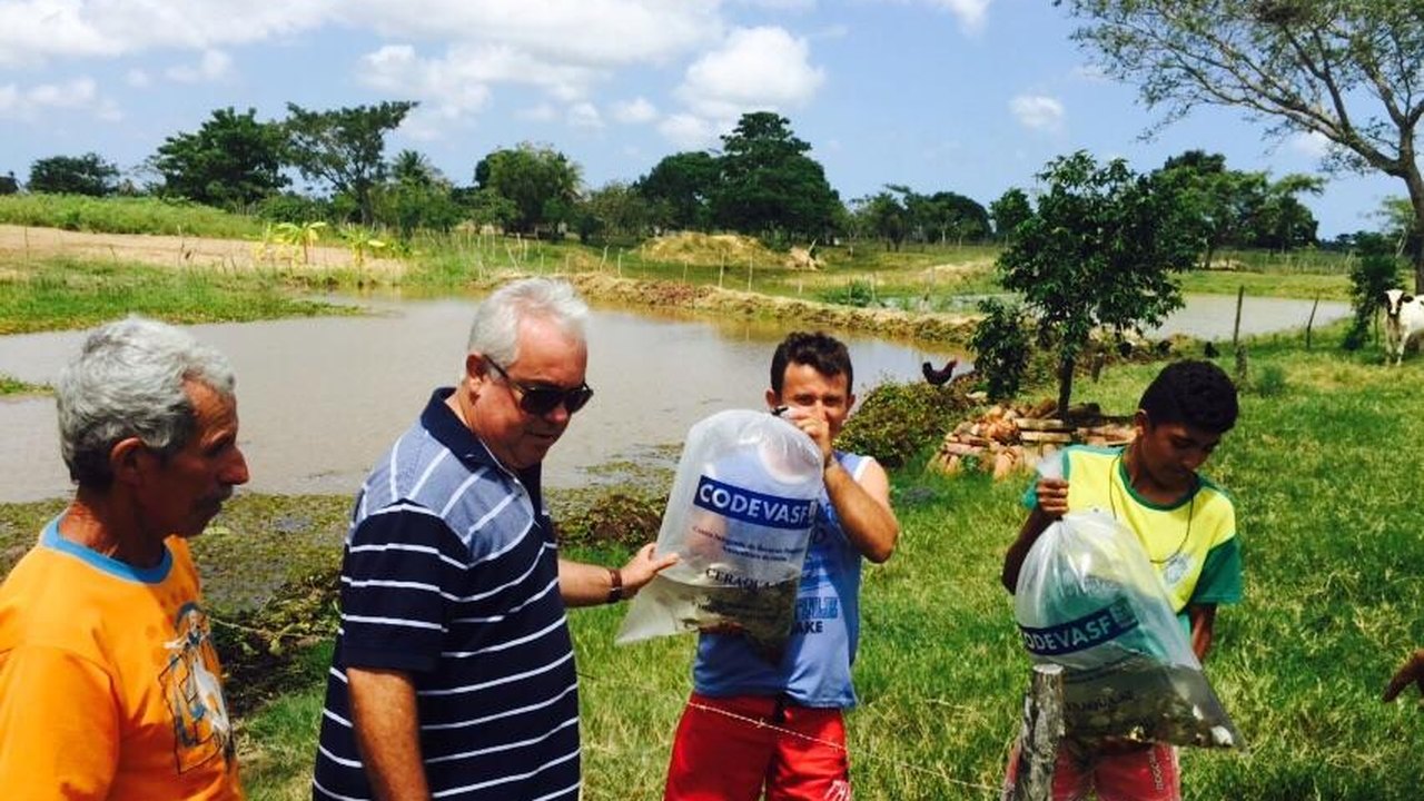 Parceria beneficia com 40 mil alevinos pequenos produtores de Penedo