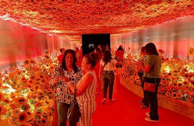 Educadores de Santana do Ipanema comemoram mês dos professores na “Van Gogh Live 8K”