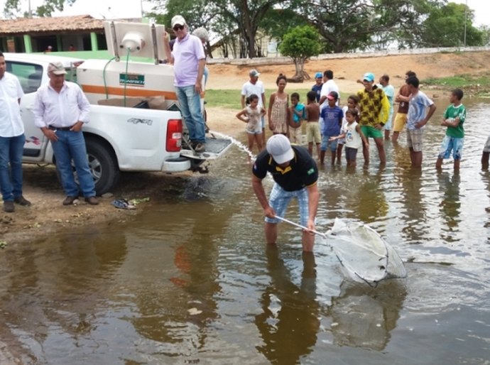 Barragem do Dnocs Pai Mané é povoada com 65 mil alevinos