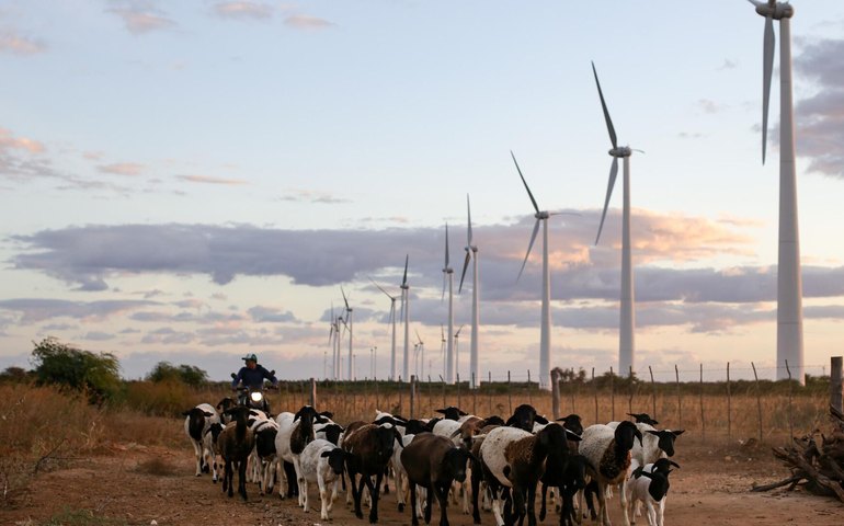 Brasil bate recorde de geração de energia eólica em novembro, diz ministério
