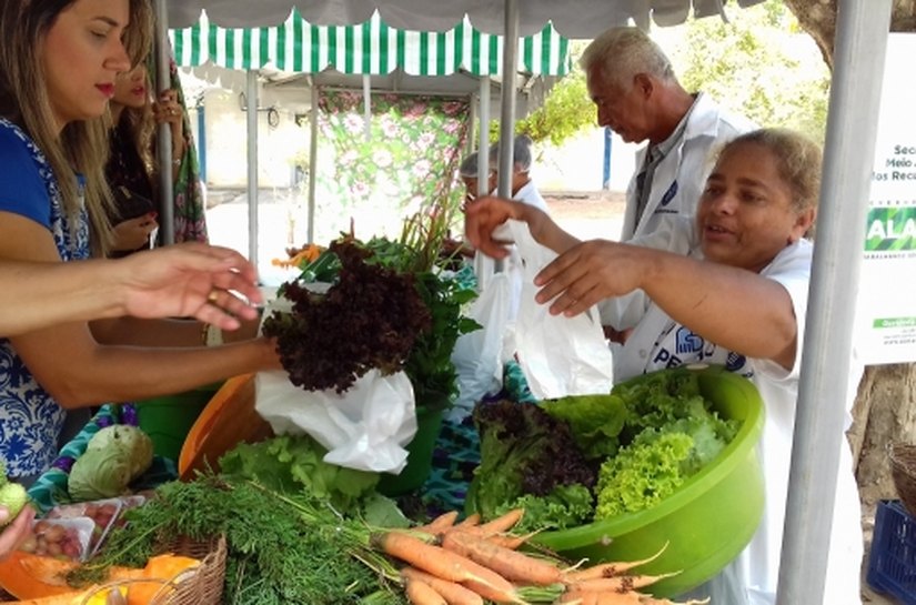 Agricultores de assentamento comercializam produtos sem agrotóxico