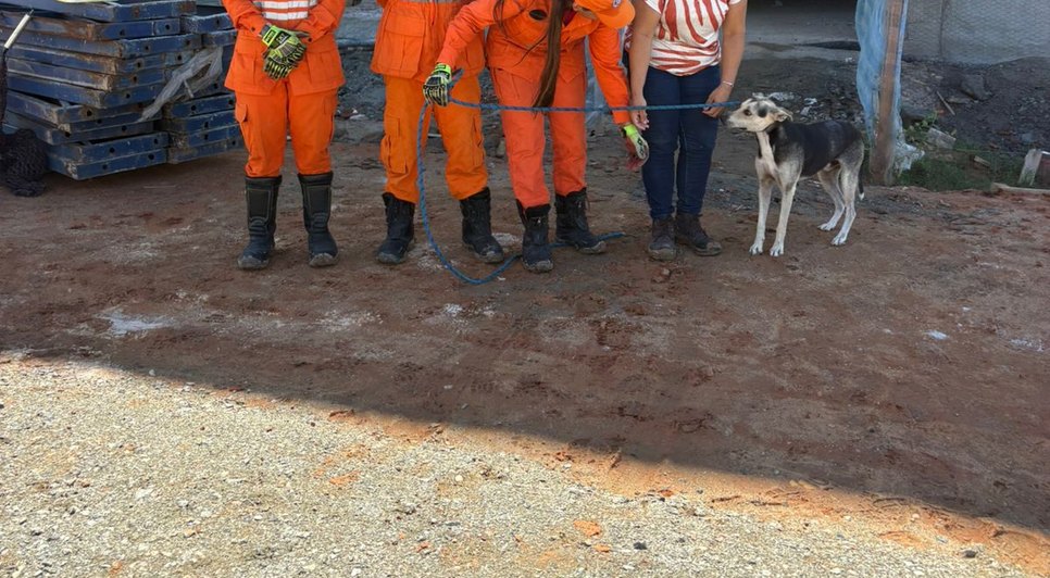 Bombeiros resgatam cachorro / Foto: Foto: CBMSE