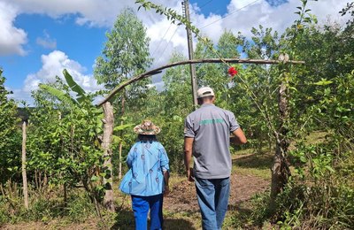 Serviços Ambientais: IMA paga 1ª parcela do programa e garante preservação em Alagoas