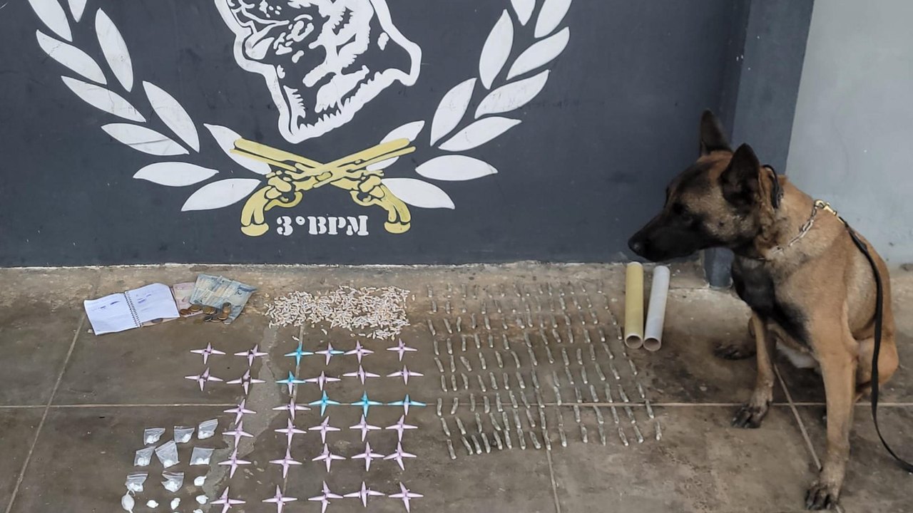 PM apreende drogas com auxílio de cão farejador em Arapiraca