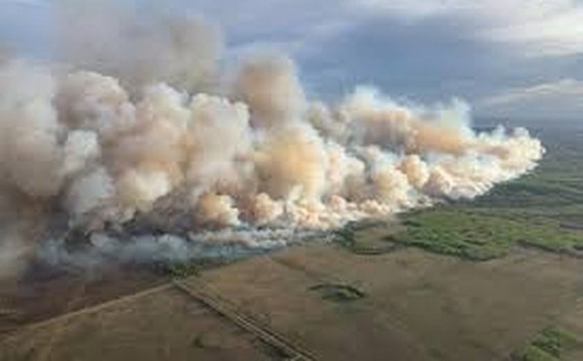 Mais de 9 mil pessoas deixam suas casas devido a incêndio florestal no Canadá