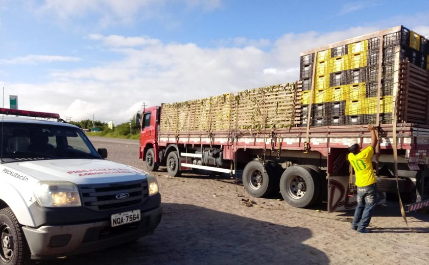 Adeal passa a emitir Permissão de Trânsito Vegetal de forma eletrônica em Alagoas