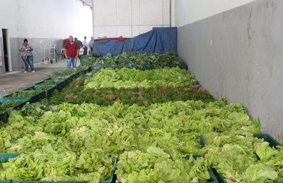 Agricultores e Entidades podem se inscrever para o Programa de Aquisição de Alimentos em Arapiraca