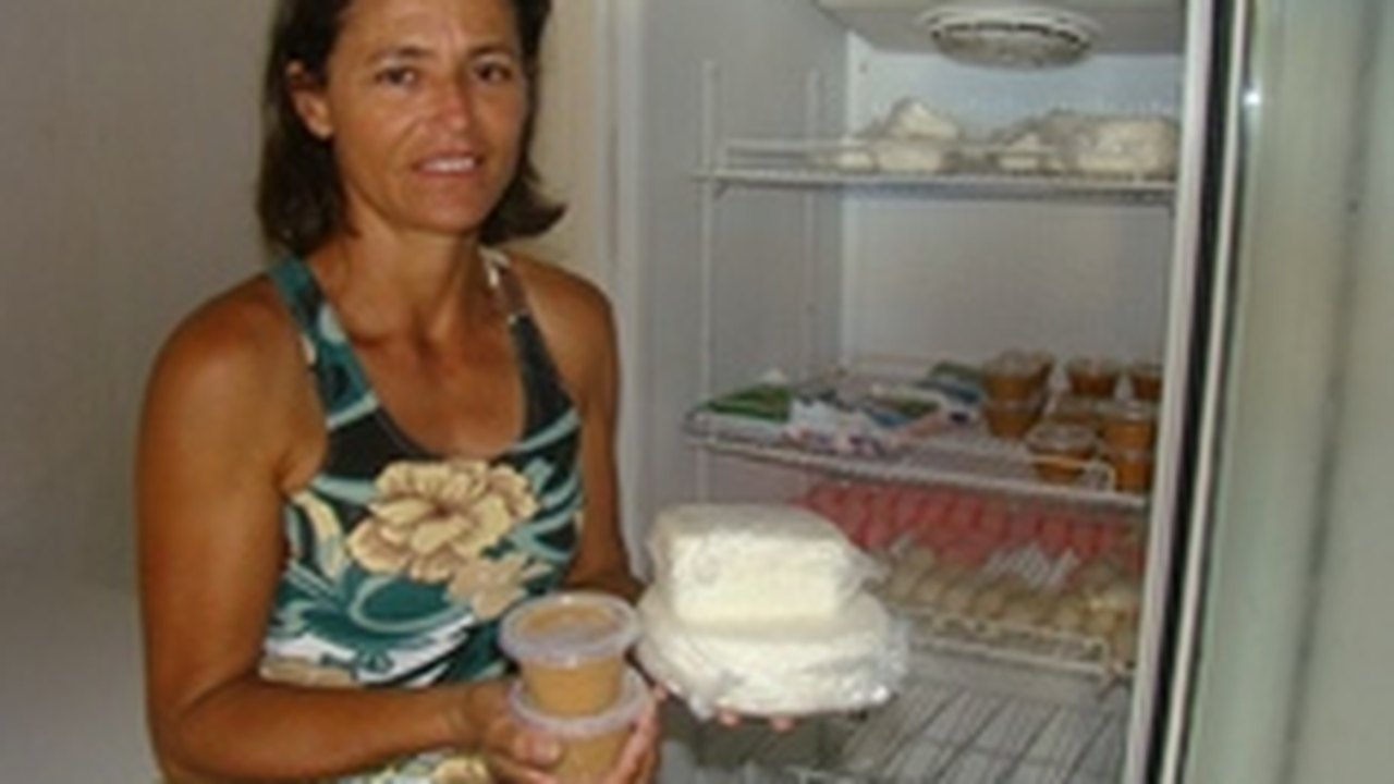 Alagoas Mais Ovinos já entregou mais de 7 mil animais a produtores