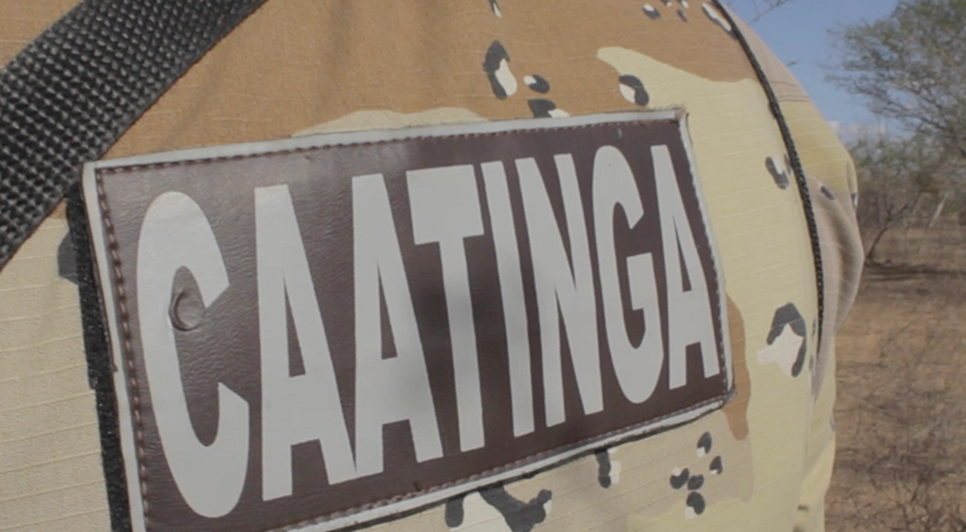 POLÍCIA CAATINGA