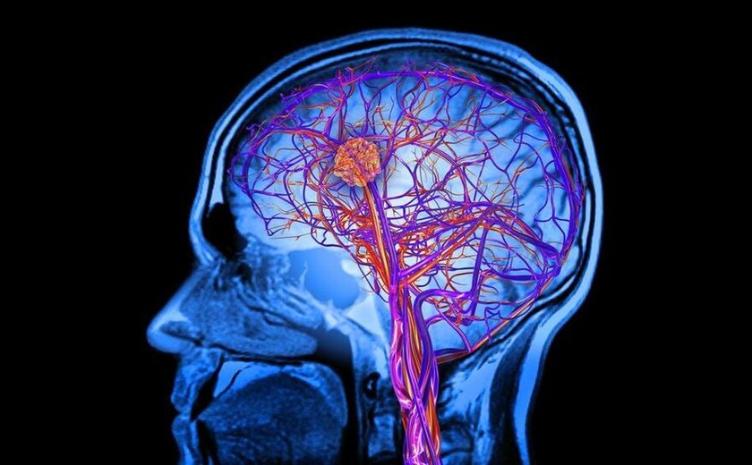 O que a ciência descobriu sobre os efeitos de um novo amor no cérebro