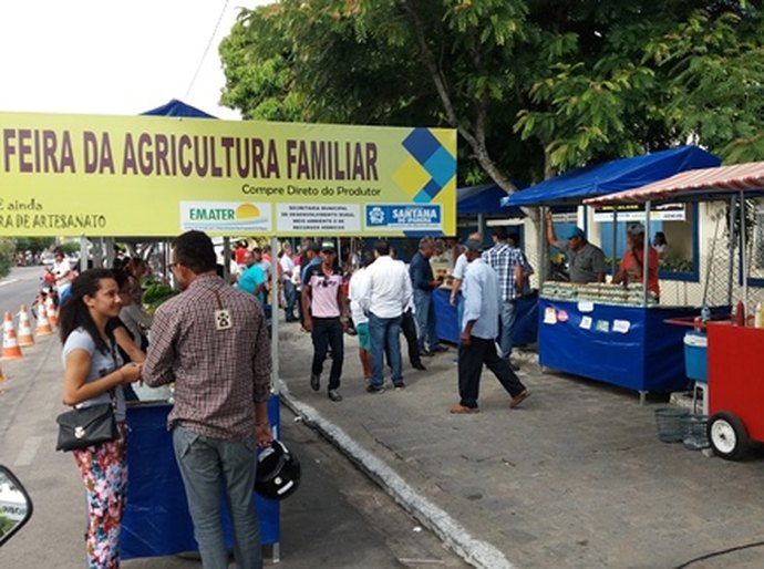 Alevinos distribuídos pelo Governo geram renda para agricultores sertanejos