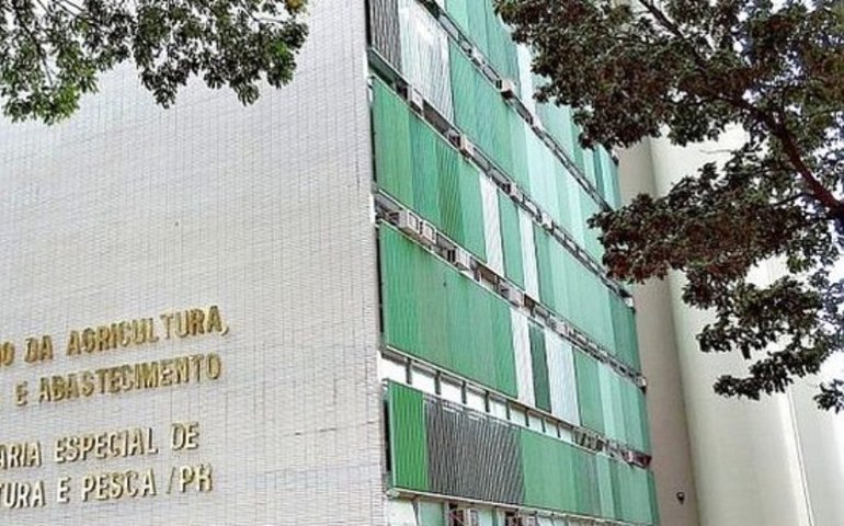 ‘Vaca louca’: setor aguarda informações da Agricultura para tomar providências