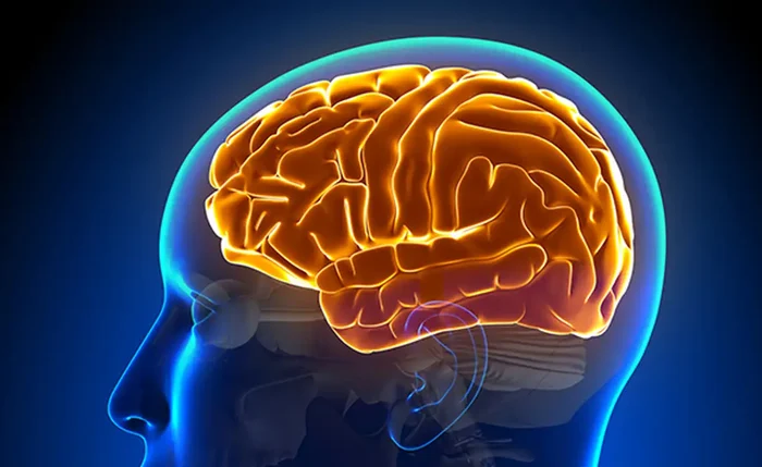 Casos de demência podem triplicar no Brasil até 2050, alertam especialistas