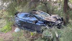 Motorista com sintomas de embriaguez derruba alambrado e bate em árvores na Rodovia SE-100