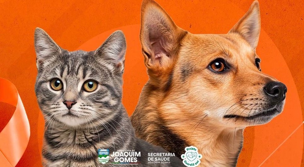 Ação em defesa dos pets. Fonte: Ascom Joaquim Gomes