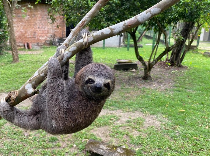 Do resgate à liberdade: o balanço do trabalho do Cetas em 2025