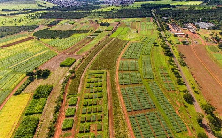 Comissão realiza audiência para debater os 50 anos da Embrapa Cerrados