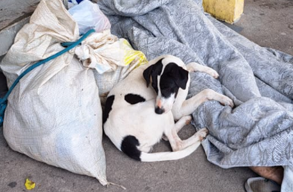 Homem em situação de rua é encontrado morto enquanto dormia com cachorro na Grande Aracaju