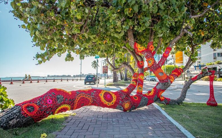 Algodoeiro-da-praia ganha intervenção com crochê e se transforma em espaço criativo na orla