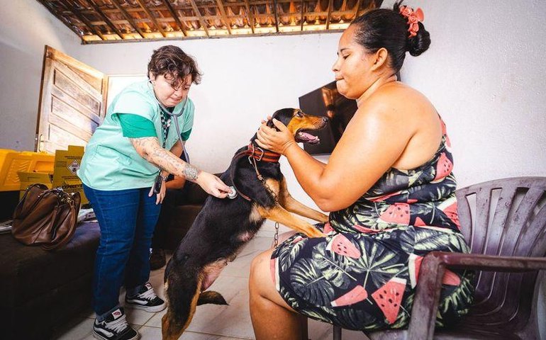 Prefeitura leva serviços veterinários a famílias em situação de vulnerabilidade