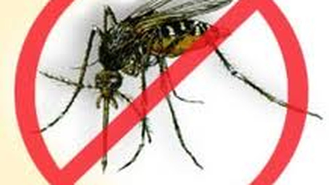 Maceió: Plano de Combate à Dengue será oficializado 5ª feira