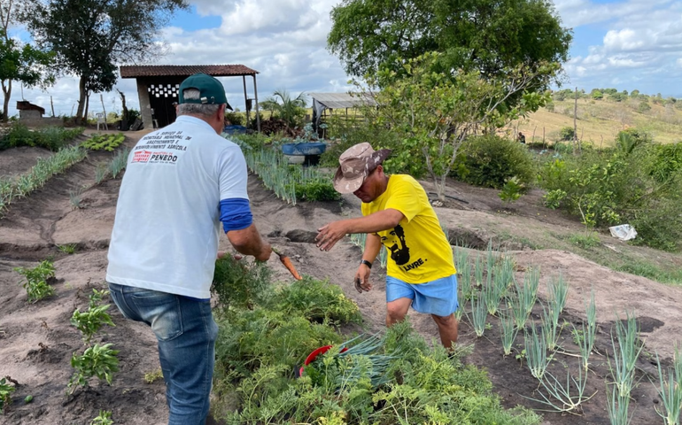 Prefeitura de Penedo e Senar abrem inscrição para cursos gratuitos de produção de hortaliças e de criação de peixe