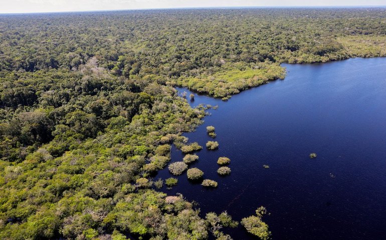 Petrobras e BNDES fazem parceria para restauração na Amazônia
