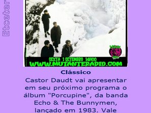 Castor Daudt