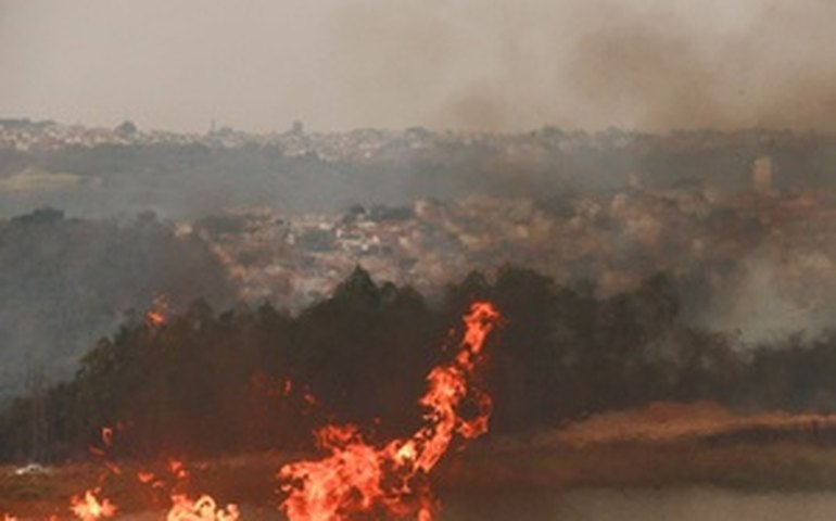Relatos indicam até 60% de aumento nos atendimentos devido à má qualidade do ar