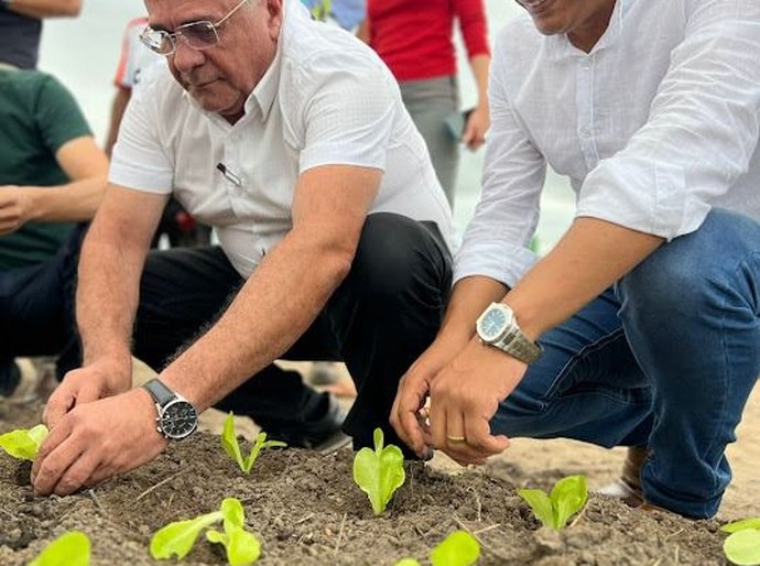 São Miguel dos Campos institui por lei o Programa Municipal de Agricultura: “Horta Urbana Sustentável – HUB-S”