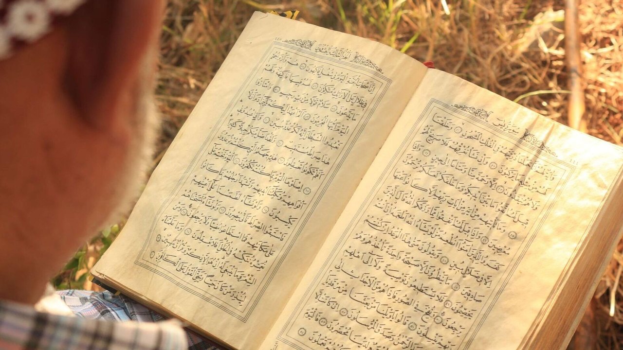 Dia da Língua Árabe: escolas de diplomacia no mundo fazem questão de ensinar o idioma, nota analista