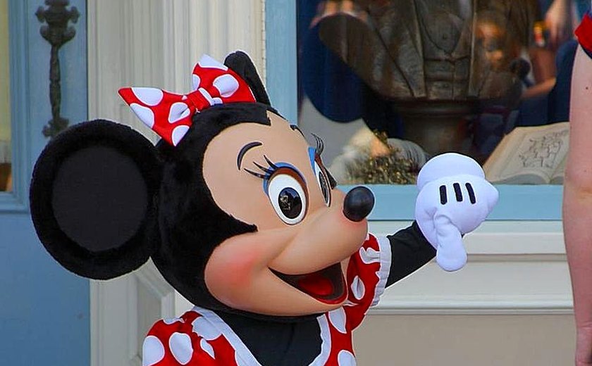 Turista pede Minnie Mouse em casamento