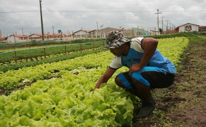 Rota de Hortifruticultura de Alagoas será lançada na 6ª feira