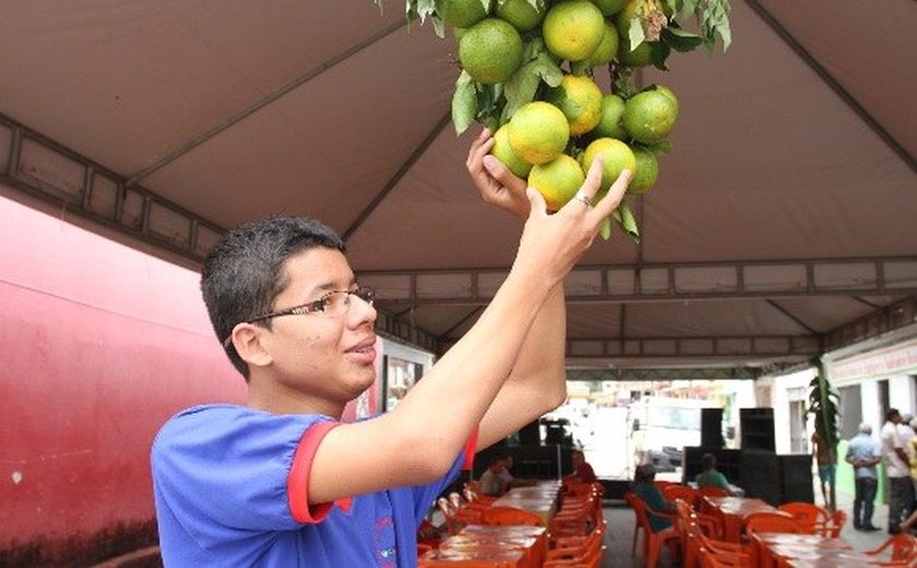 Alunos participam de beneficiamento de frutas em Santana do Mundaú