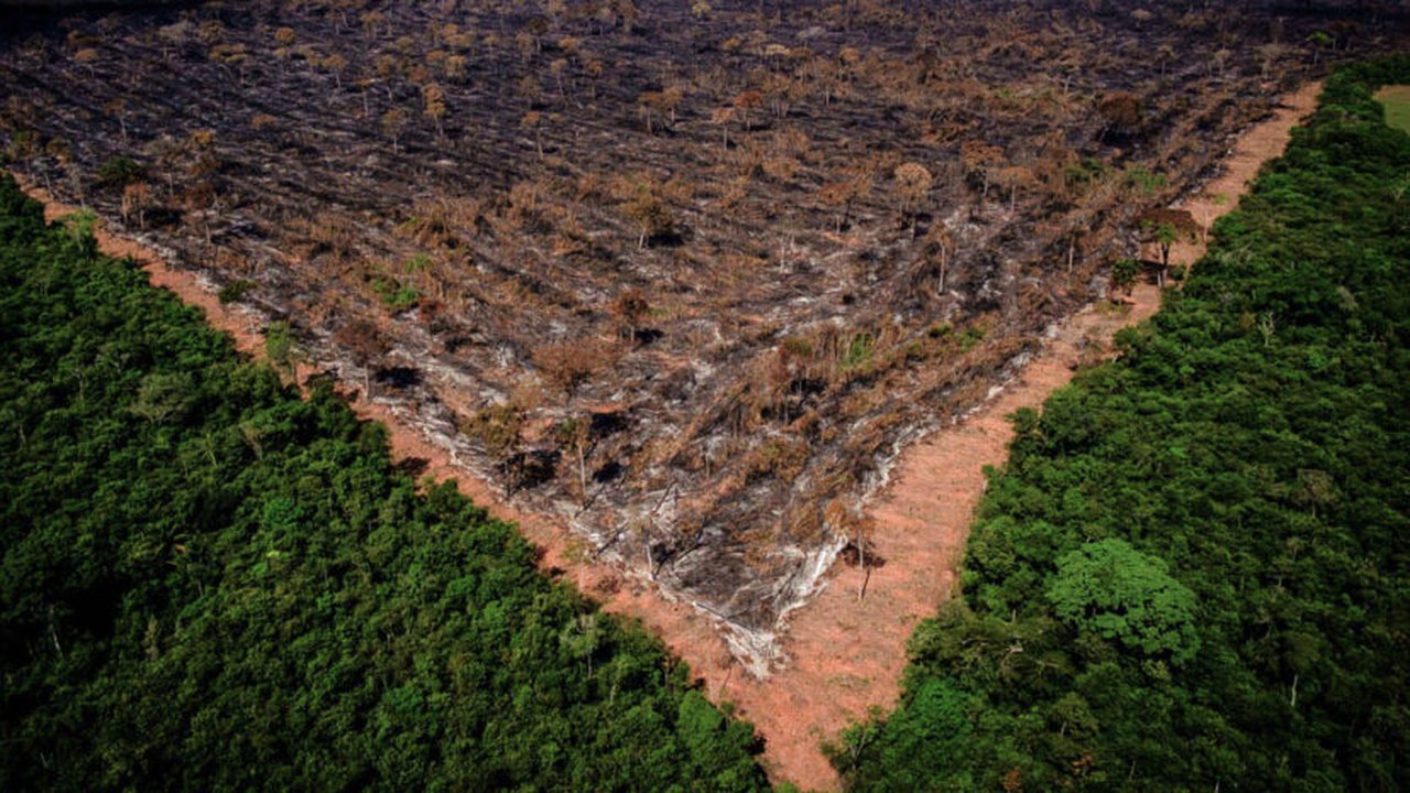 Com orçamento reduzido para o meio-ambiente, Brasil responde por 40% do desmatamento no mundo