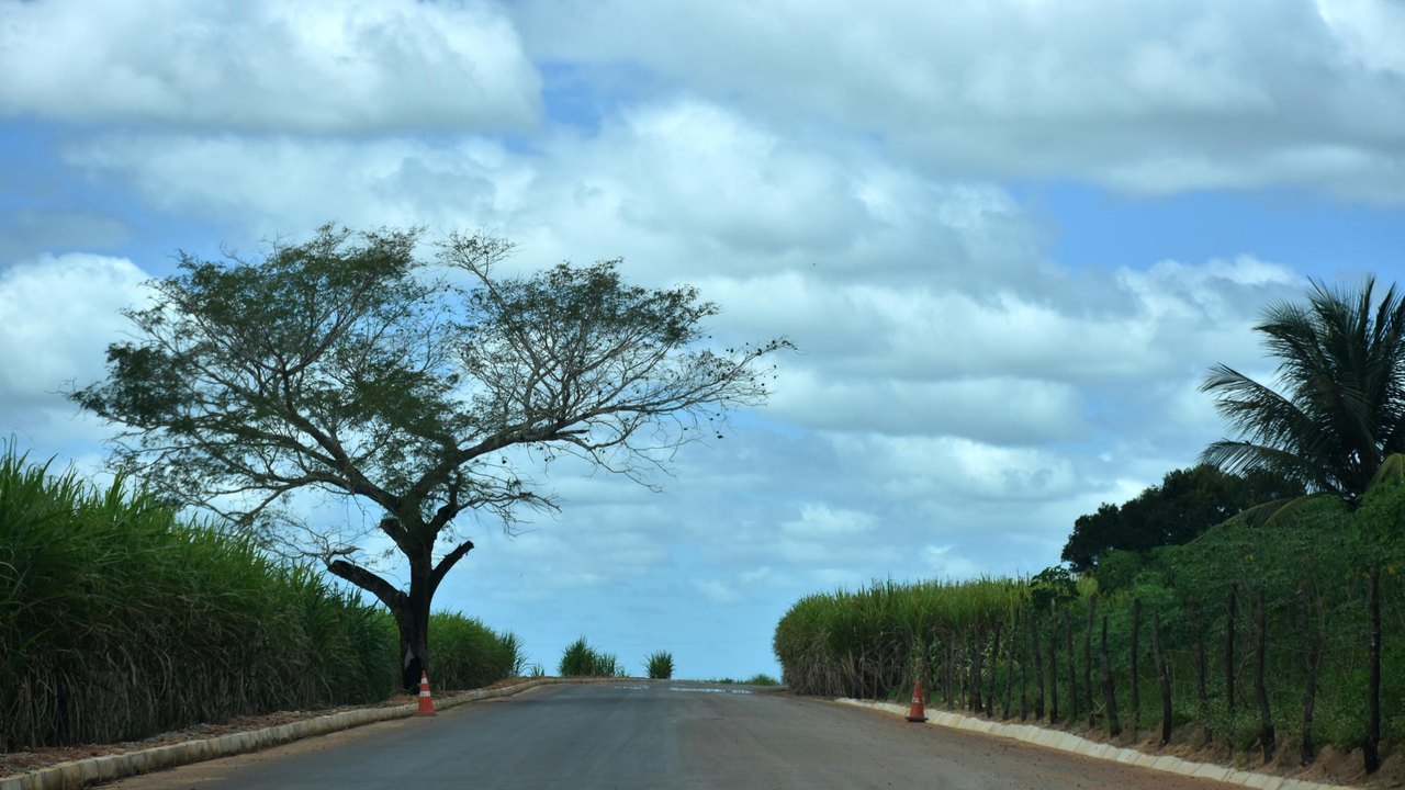 Programa Alagoas de Ponta a Ponta segue em Junqueiro com pavimentação asfáltica