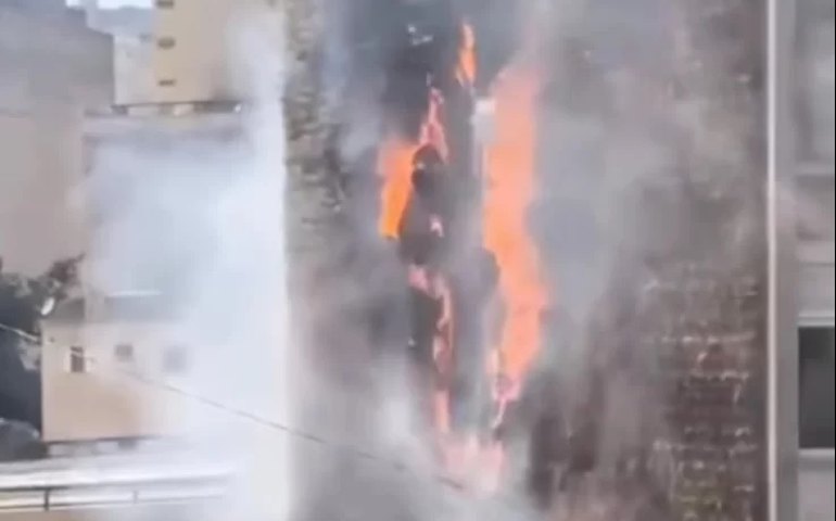 Último jardim vertical do Minhocão é danificado em incêndio