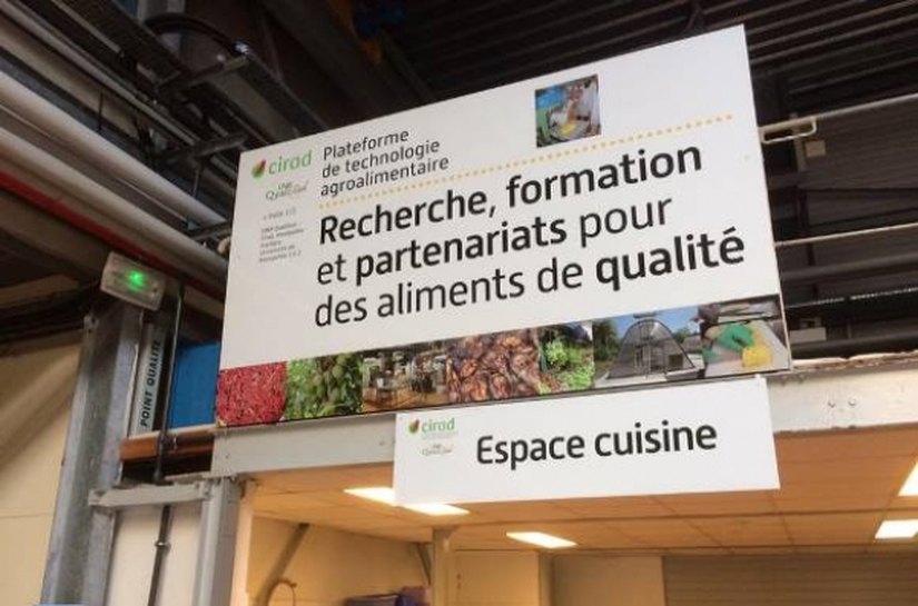 Fapeal articula lançamento de edital para pesquisas sobre o semiárido