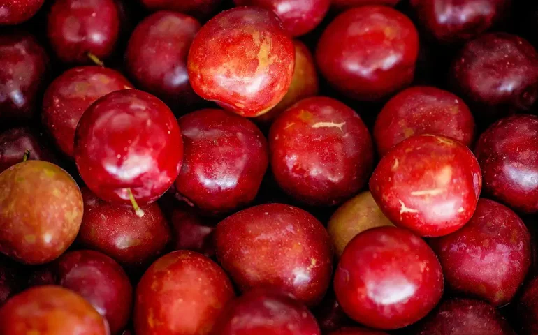 Belém tem menor índice de consumo diário de frutas do país