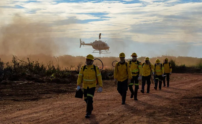 Crimes ambientais aumentam 88% na Amazônia Legal, informa PRF