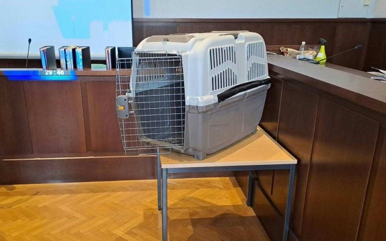 Justiça da Áustria condena mãe que torturava o filho em gaiola para cachorro